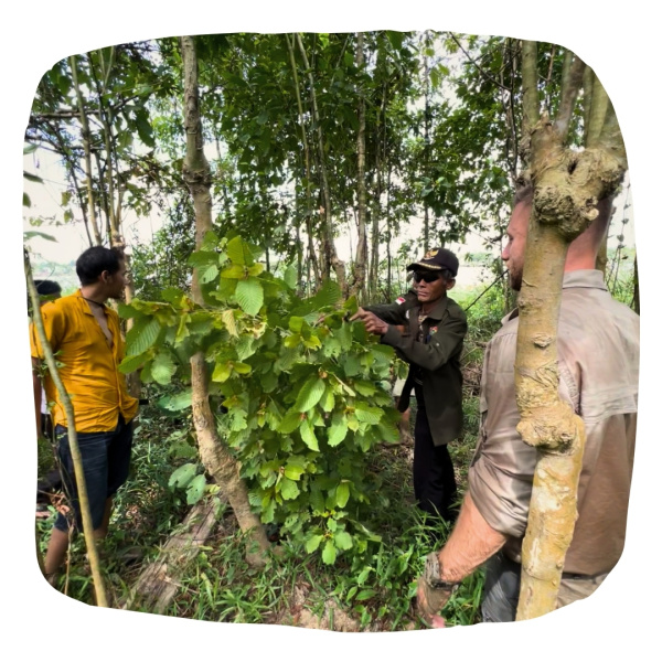 1_kratom b2b (3)
